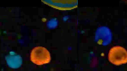 Crystallization of Sn in various orientations