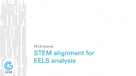 STEM alignment for EELS analysis